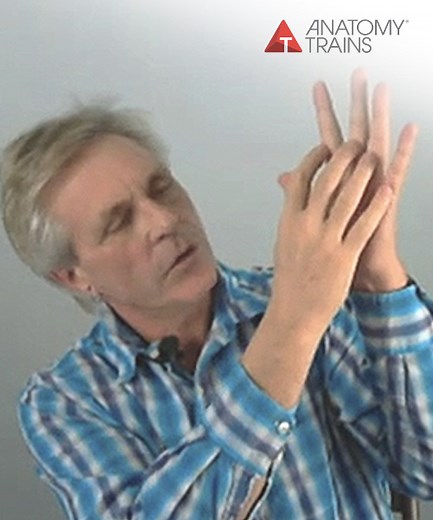 Fascial Release Technique Webinar Series with Tom Myers