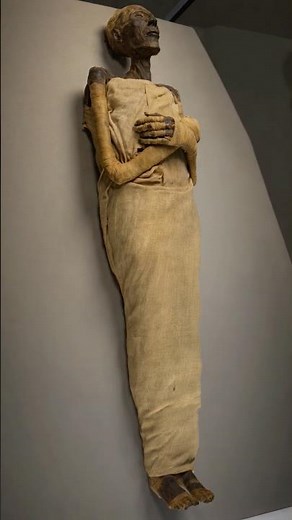 RAMSES II — THE KING WHO REFUSED TO DISAPPEAR #egyptianmuseum #pyramidsofegypt #grandegyptianmuseum