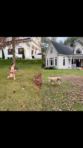 We see you, @johnlferguson 🍂🍁 | Dog Named Stella