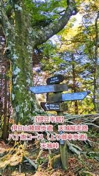 【伊豆半島】伊豆山稜線歩道 天城縦走路 八丁池コース（上り御幸歩道） 天城峠（あまぎとうげ） 2026.05.02 M217-954-07