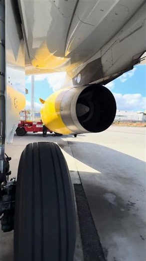 Walk Around Airbus A320 Vueling! #walkaround #Airbus #a320 #airport #airplane # #runwayclosure