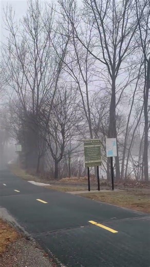 Foggy day #music #ytshorts