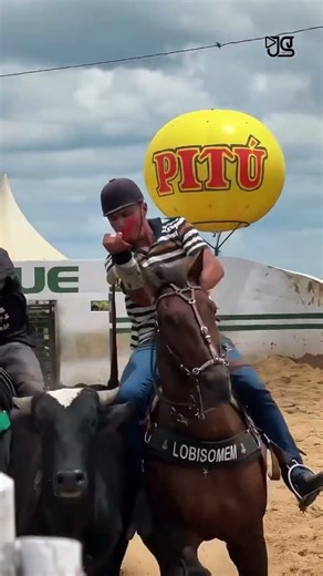#vaquejadaaovivo #shorts #vaquejadaemeuesporte #vidadegado #horse #vaqueiros #fé #deus #vaqueirama