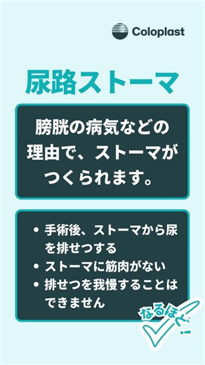 ストーマからの排せつ（ウロ）