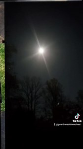 Happy Halloween from all of us to all of you. | Guardians Of The Wolves