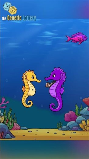 She got him pregnant and LEFT 🏃‍♀️💨