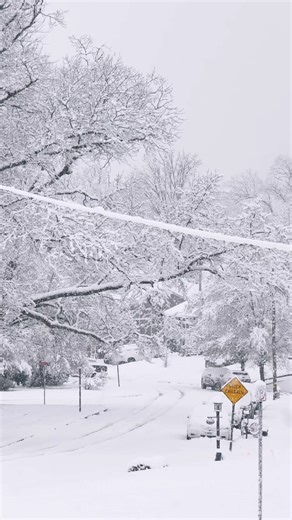 Nothing quite compares to that first good snow feeling: quiet streets, fresh air, and a little spark of wonder you didn’t know you needed ❄️✨ #winter #winterwonderland #snowday #snowfall #snowflakes #wintervibes #winterjoy | NoteProject