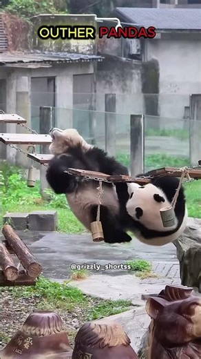 OTHER PANDAS... BUT THIS PANDA ☠️