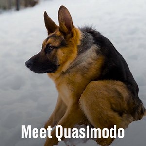 10M views · 24K reactions | He has 'short-spine' syndrome but that doesn't stop him loving life!  | LADbible | Facebook