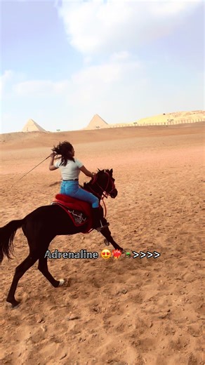 @Osama Khalifa 🐎❤️‍🔥📈#gomana🔥❤ #fyp #trinding #viral_video #الشعب_الصيني_ماله_حل😂😂