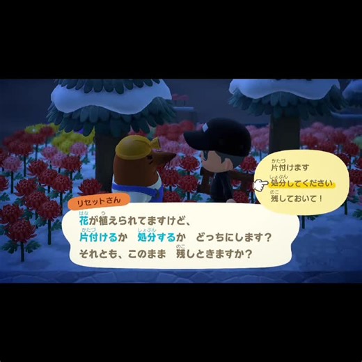 あつ森のリセットさんとの再会の楽しみ