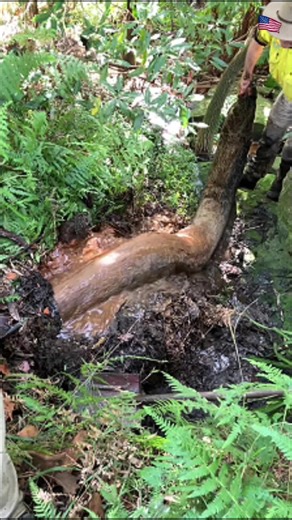 Experience Relaxation with ASMR Dredging Videos