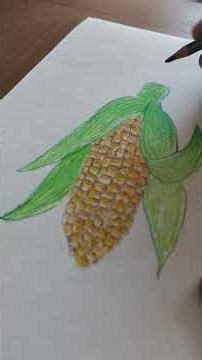 how to draw a corn