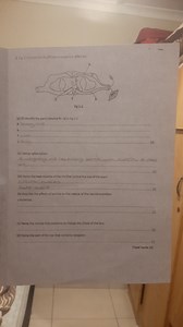 2. Fig 2.1 shows the structures involved in a reflex arc(a) (... | Filo