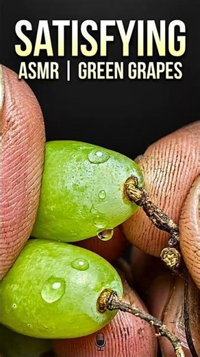 The Most Satisfying Grapes ASMR | Village Life Vibes.