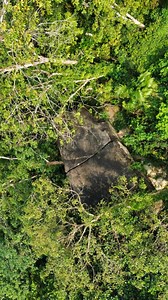 Paramount Landscapes - Hotels & Resort Landscaping Specialists Transforming hotel gardens into breathtaking spaces! At Paramount Landscapes, we specialize in luxury landscaping for hotels, resorts, and commercial properties. From designing elegant outdoor spaces to planting mature trees and creating lush gardens, we bring 36,000 sq.ft of The Botanic Area to life with precision and creativity. Our services include: ✓ Hotel & resort landscape design ✓ Mature tree planting & handling Commercial gar