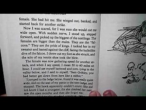 My Side of the Mountain Chapter 7