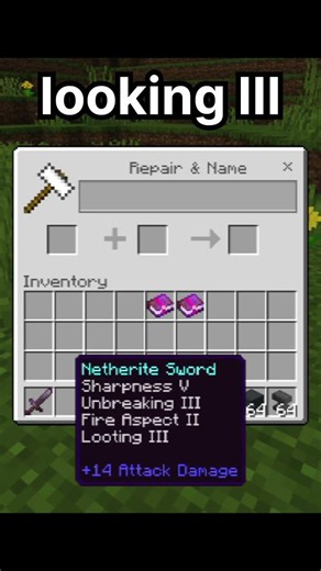 God Sword enchantment #minecraft #shorts