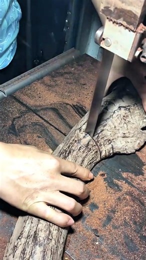 cutting the thick brown wooden log manually using a vertical band saw machine tool
