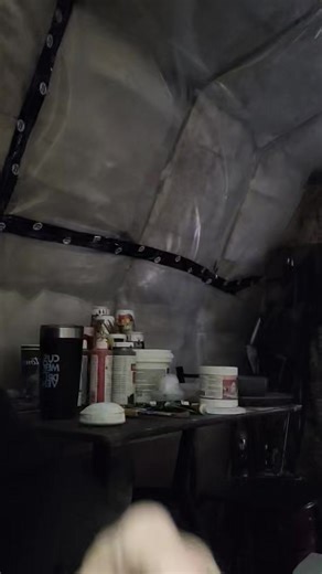 2nd vid for today . Frog and lily pad mold | Wayne Clark