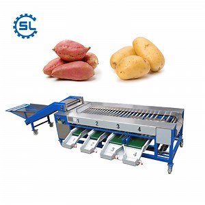 [Hot Item] Automatic Size Sorting Machine for Potato Sweet Potato Grader