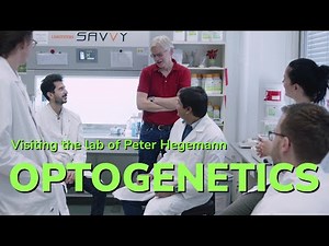 Optogenetics - A glimpse into the lab of Peter Hegemann