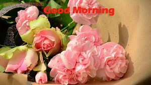 32K views · 245 reactions | Good Morning Monday => https://bit.ly/3dVvIdT Good morning Happy Monday, God Bless you Fresh start. #GoodMorning #GoodMorningWishes #MorningWishes #MorningQuotes #GoodMorningmonday #mondaymotivation #GoodMorningImages | Good Morning Quotes, Images, Wishes | Facebook