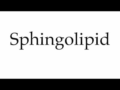How to Pronounce Sphingolipid