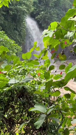 I Found a Secret Waterfall Deep in the Jungle 🌿