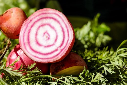 10 Companion Plants for Turnips (That Work Extremely Well!)