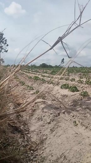 Video của Vì©Đó©Là ™Em (@vi_do_la_em) với bản nhạc Vĩnh2004 - 𝐑𝐚𝐝𝐢𝐨 𝐂𝐡𝐢𝐥𝐥