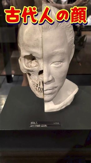 これが古代人の顔の比較だ！【国立科学博物館】
