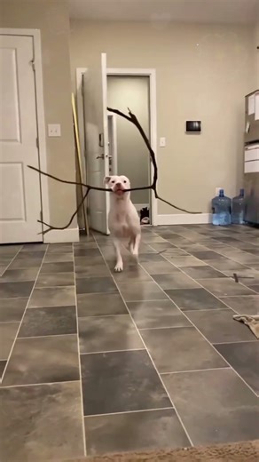 #funny