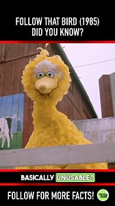 I watched this movie SO many times as a kid. #followthatbird #followthatbird1985 #followthatbirdmovie #sesamestreet #bigbird #elmo #kenkwapis #carrollspinney #jimhenson #frankoz #richardhunt #chevychase #adrianmccalla #kathrynmullen #joeflaherty #martinprobinson #davethomas #waylonjennings #johncandy #sandrabernhard #80smovie #80smovies #scottneumyer #didyouknowthis #didyouknowthat #movietrivia #triviadude | Scott Neumyer