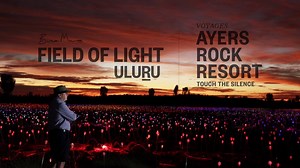 3.3K views · 371 reactions | Watch the video and discover more about...