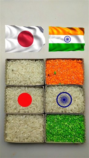 🇯🇵🚩 Japan x India 🇮🇳 Rice Art 🎨 | Unique Flag Art That Will Blow Your Mind 😍 #art