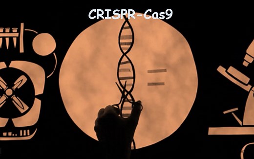 CRISPR Cas9 实验原理 及 操作步骤 讲解