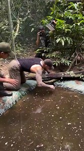 4.7K views · 27 reactions | Snake caught underwater #snake #python #fypシ゚viralシfypシ゚viralシalシ | Freud Wari | Facebook