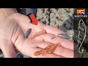 How to catch bottom feeder fish with a lure.