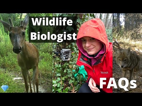 What is a Wildlife Biologist? Your FAQs answered.