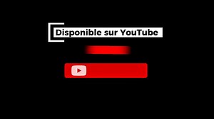 381K views · 33K reactions | 藍藍藍 Le tout premier épisode de ma web-série sur le restaurant est enfin DISPONIBLE ! Le lien en commentaire | Boushaboire WILL | Facebook