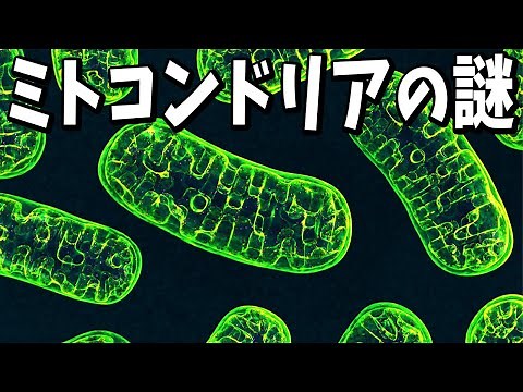 Mitochondria and the origin of eukaryotes [Biology Trivia]