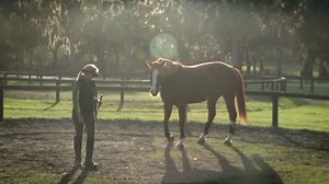 12K views · 351 reactions | Quiz Time - Fill in the Blanks There are _________ Games, but there are really only ___________. The first are ____________ Games and the last four are Purpose Games. How has learning the Seven Games improved your horse life? Ready, Set, GO! | Parelli Natural Horsemanship | Facebook