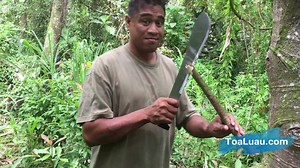 399K views · 2.4K shares | Food tastes better when its cooked in the jungle for some reason. | Toa Luau | Facebook