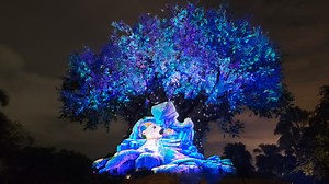 Tree of Life Awakenings in Disney's Animal Kingdom | Chip and Company