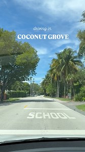 Driving in the scenic S Bayshore Drive, Coconut Grove 🌴🥥 #miami #coconutgrovemiami #coconutgrove | Due Italiani A Miami