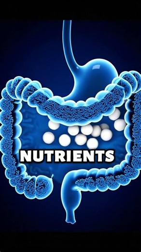 The Hydration Hack for Better Digestion! #water #hydration #guthealthtips