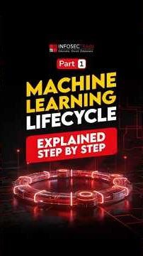 Machine Learning Life Cycle Explained Pt.1 🤖