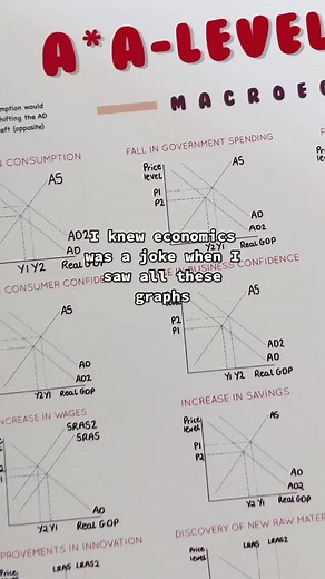 Understanding Economics Through Visuals