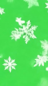 Vertical Green Screen Falling Snowflake Overlay Stock Footage Video (100% Royalty-free) 3668331179 | Shutterstock